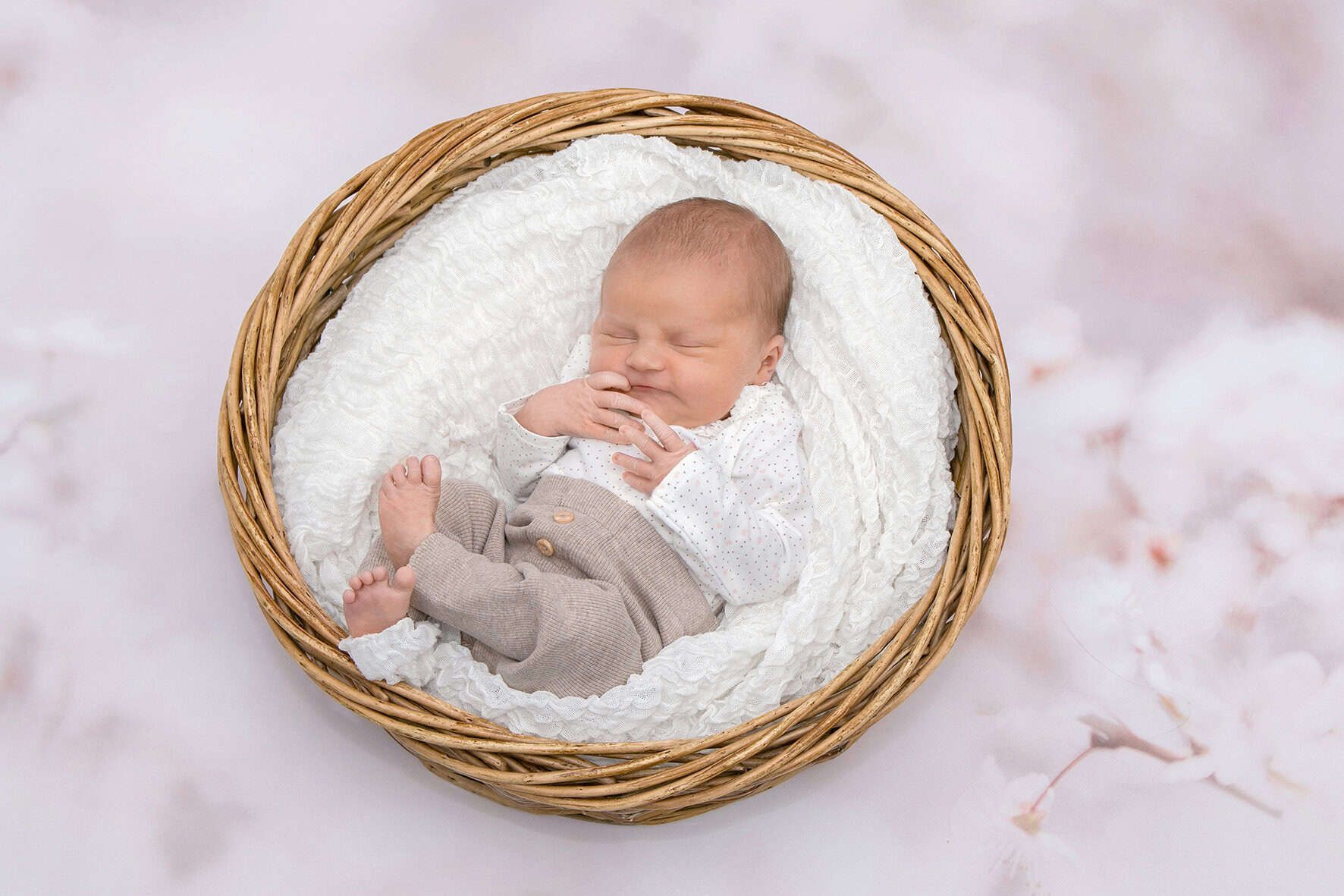 Emily Lynn 3828aefc